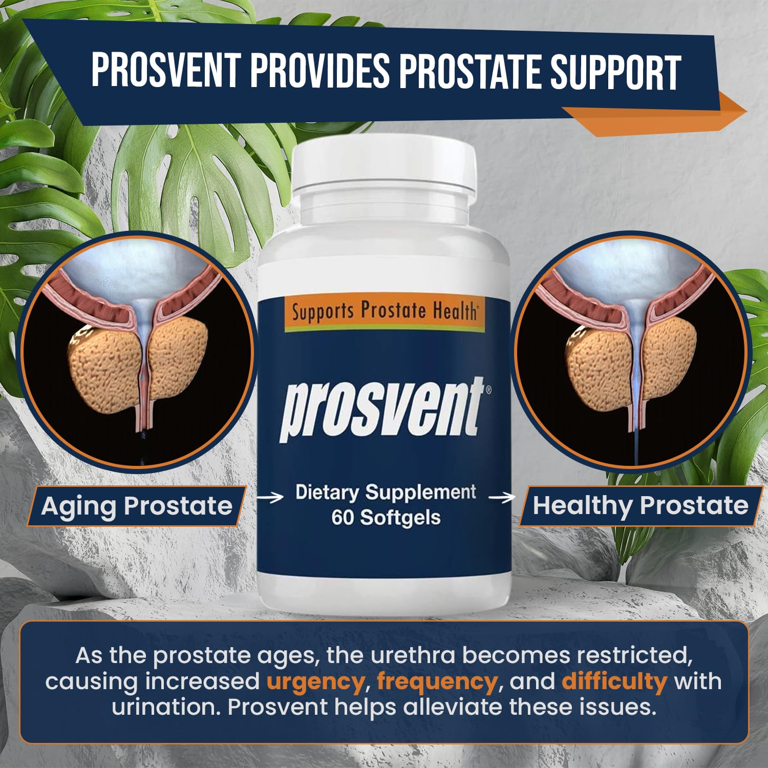 Prosvent – Natural Prostate Health Supplements for Men – Clinically Tested Ingredients - Saw Palmetto, Pygeum, Lycopene, Stinging Nettle, Beta Sitosterol, Pumpkin Seed Oil. 60 ct